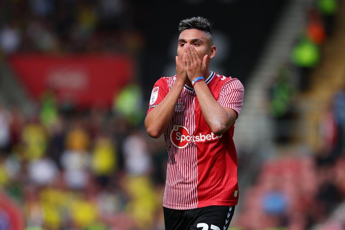 Alcaraz injured in training