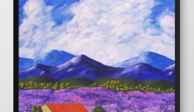 💜 Ferme de lavande 💜