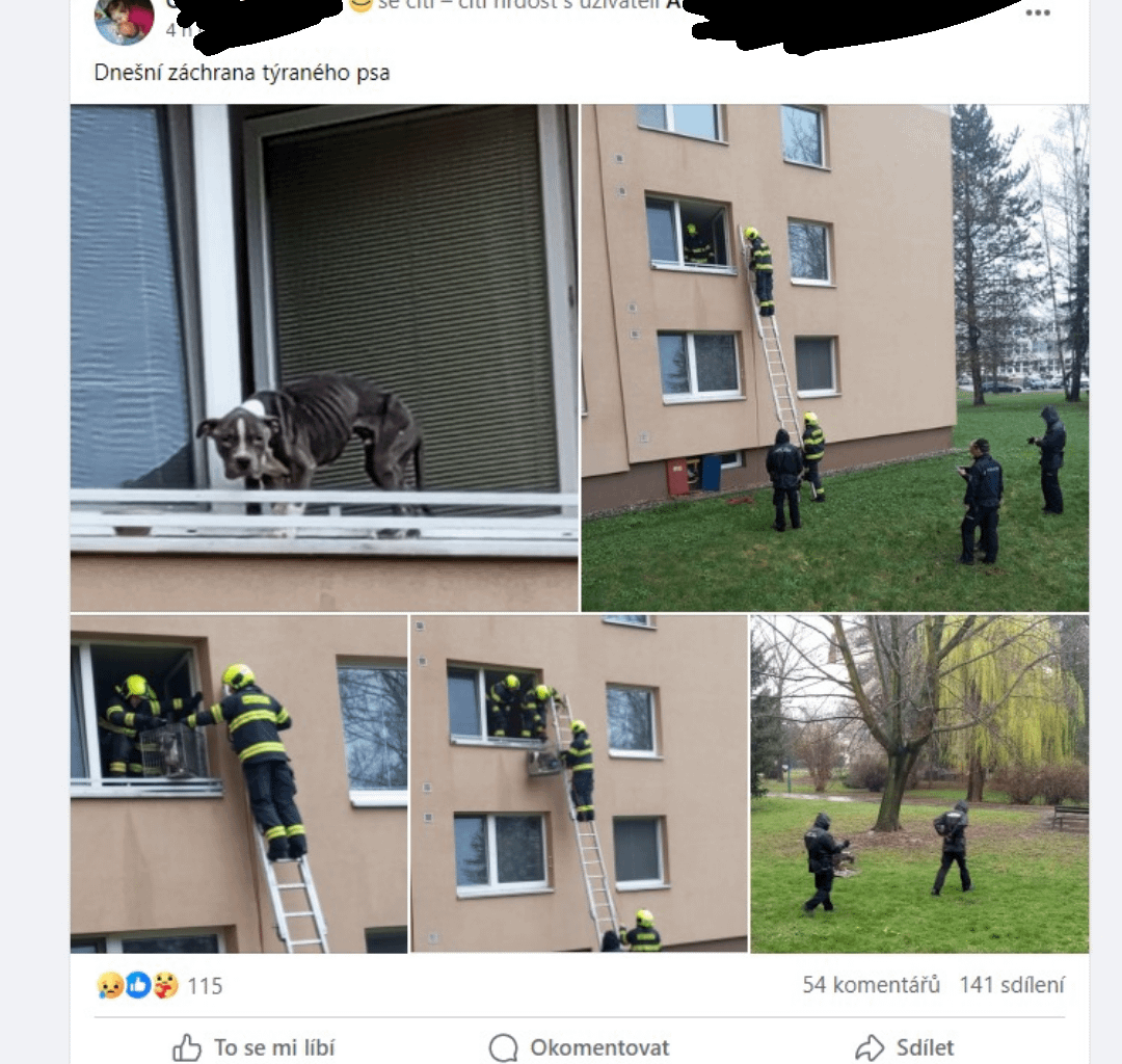 Je toto ještě vůbec normální?