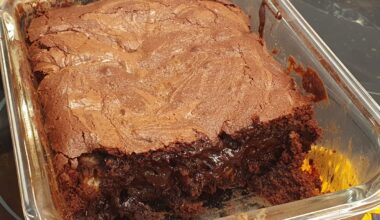 J'ai tenté un brownie mais ça m'a donné une sorte de fondant au chocolat
