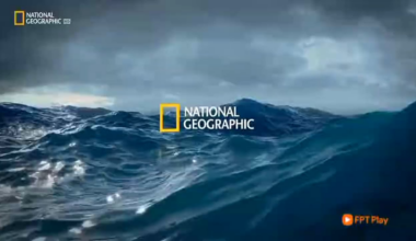 National Geography announces a documentary of Santiago Bernabeu renovation inspired with the theme of Rome's Colosseum.