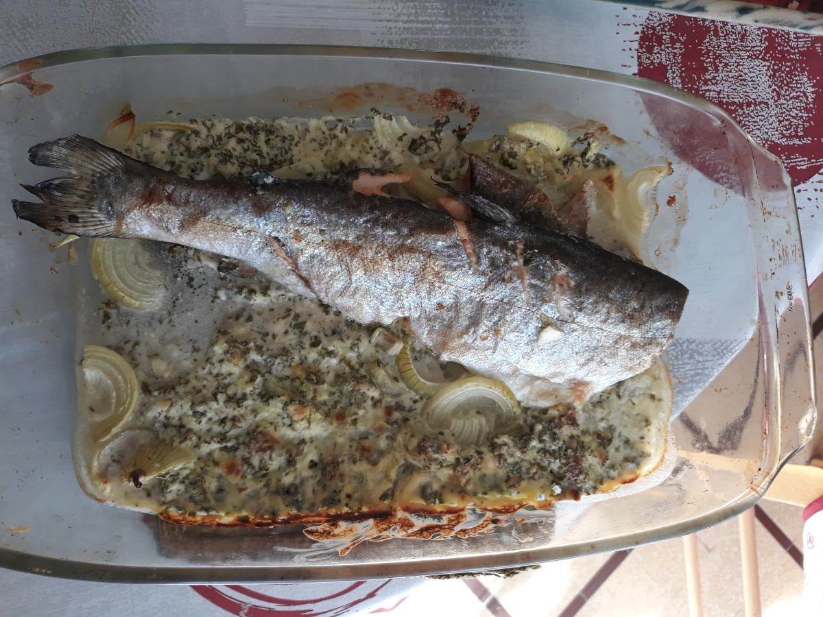 Truite aïl, persil et oignons