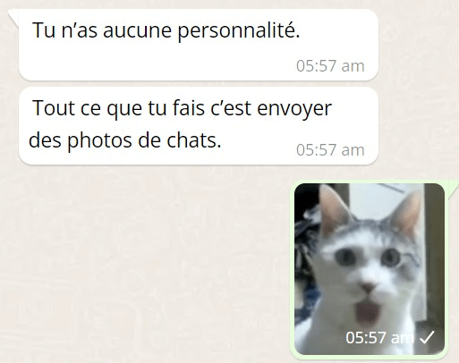 Un mème comme celui-ci en anglais m’a inspiré à en faire un en français parce que j’aime les chats.