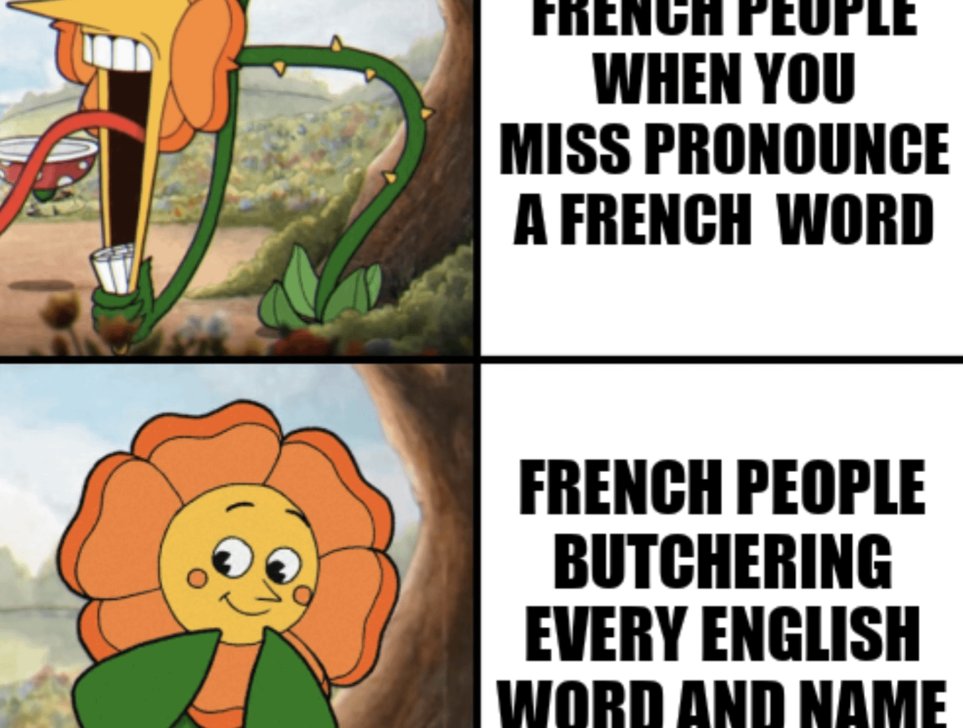 Le meme
