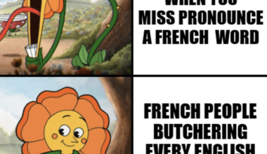 Le meme