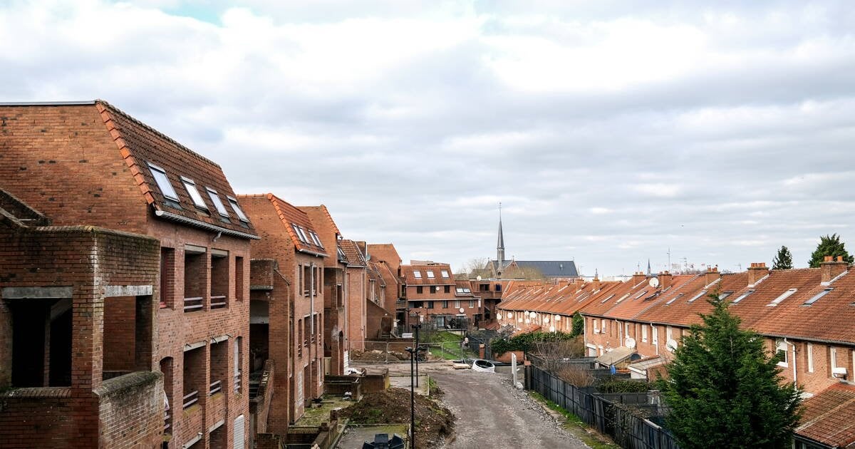 Moins de béton, plus de logements : mission possible, selon deux fondations