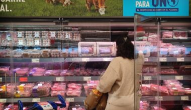 Adiós a los productos “sostenibles” y “verdes”: el Gobierno quiere multar con 100.000 euros a las empresas que hagan ecopostureo