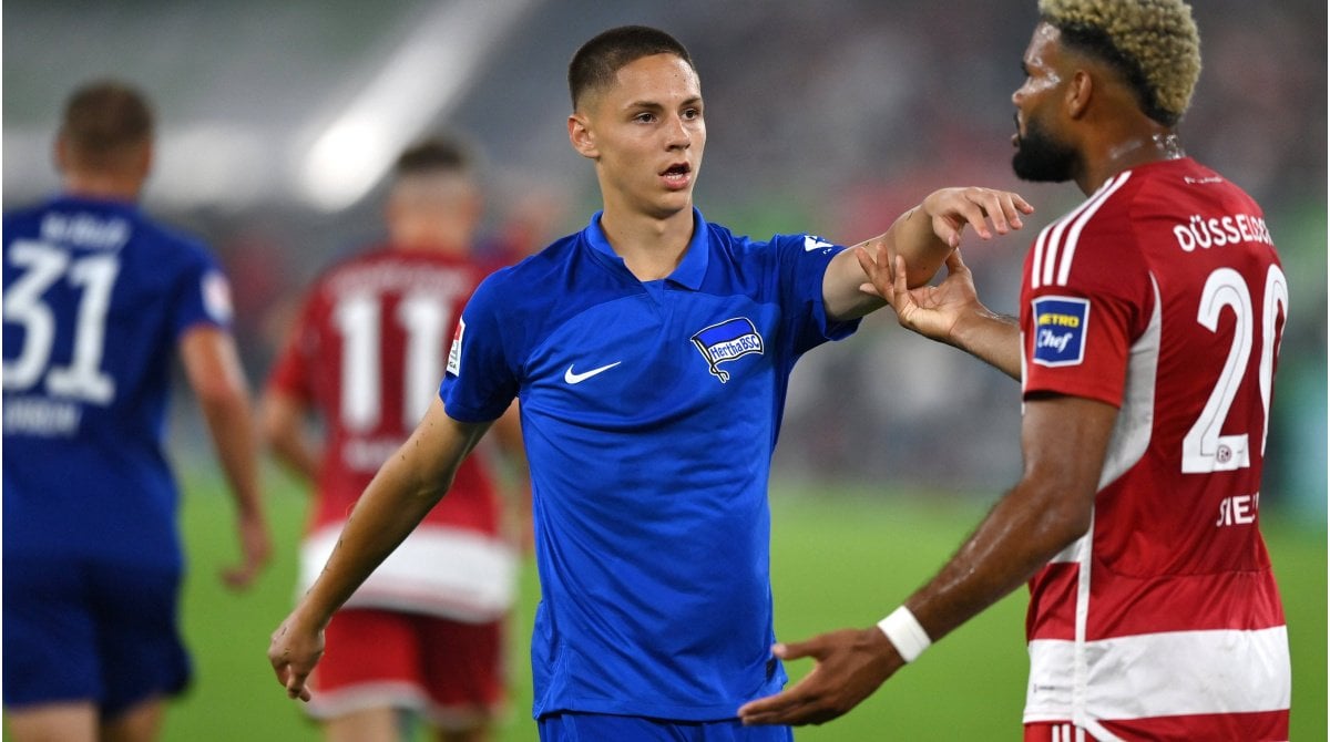Bericht: Bence Dárdai wechselt nach Wolfsburg – Hertha verliert Eigengewächs ablösefrei