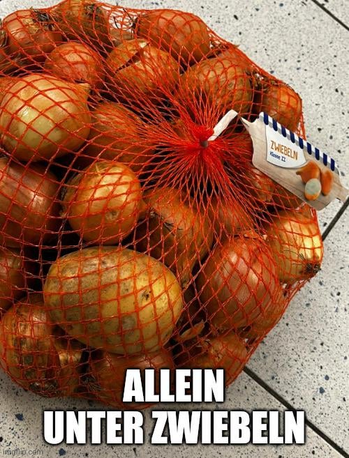 Da ist die Kartoffel den Zwiebeln ins Netz gegangen und ist jetzt ...