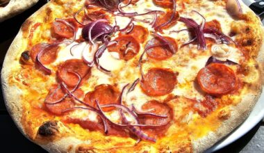 Pizza Siciliana (here: salami, onions, tomatoes, mozzarella, basil), served in the harbour of Constance, Germany ― which pizza for you? (Menu on pic 3)