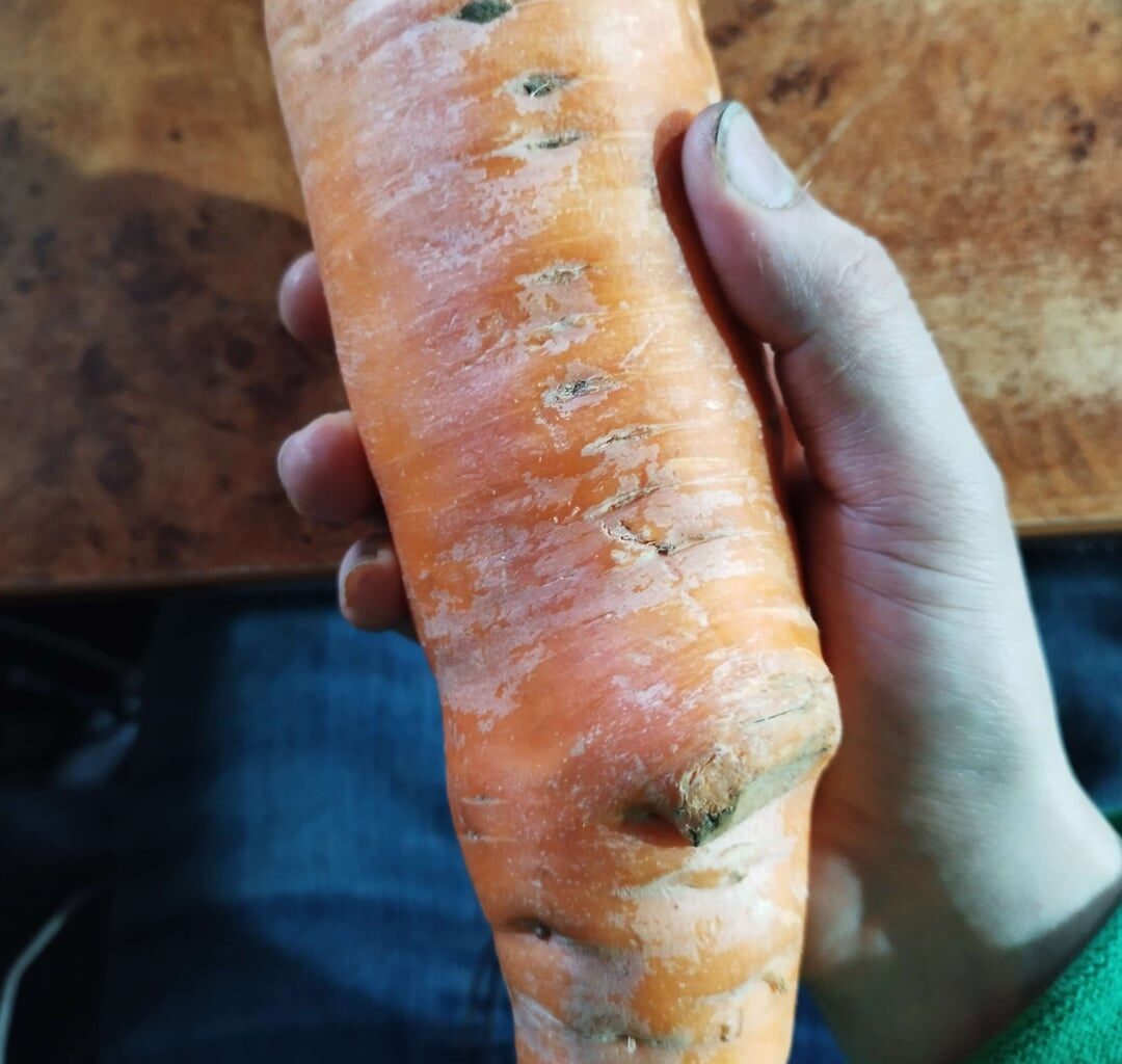 Mal eine XXXL Karotte die in einem 5 Kg Sack dabei war und selber bereits fast 700 g wiegt