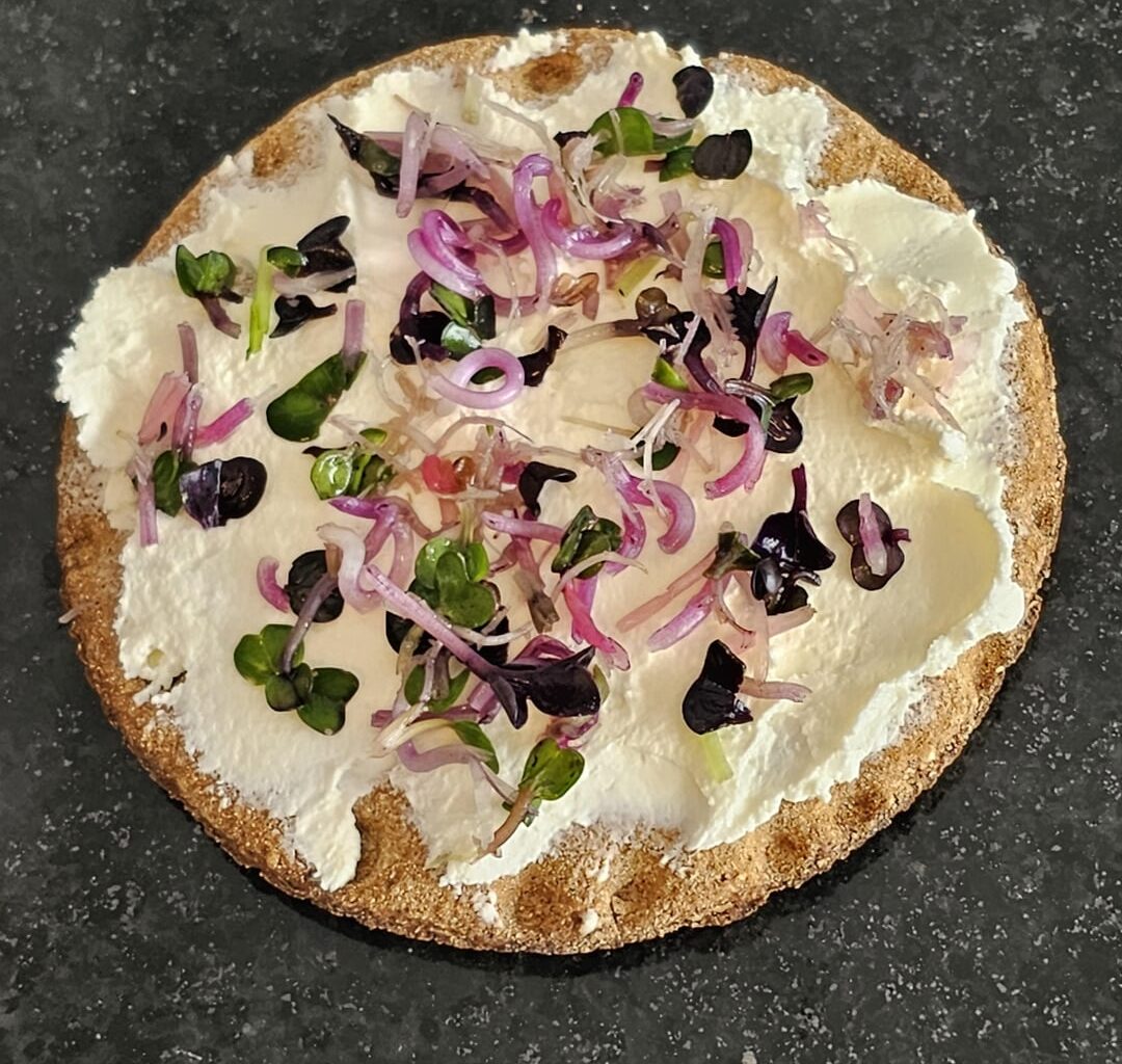 A very quick snack to tide you over until dinner ― Sprouted lettuce (red radish) on cream cheese on a rye Knäckebröd from a well-known furniture store ;)