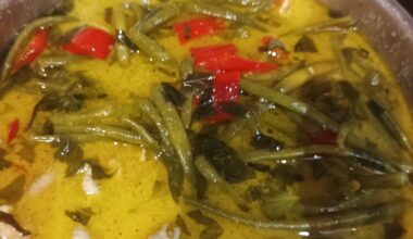 La fois où j'ai fait une version un peu revisité du curry thaïlandais vert