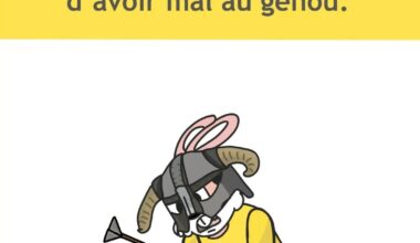 Meme journalier