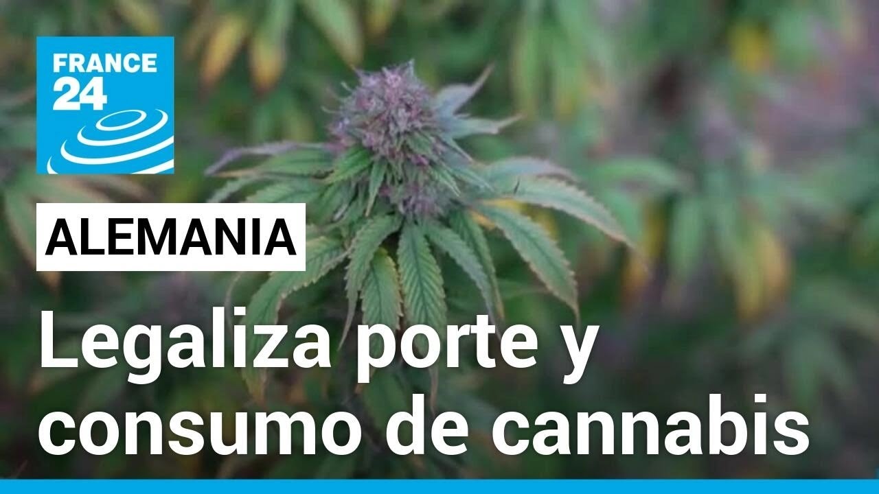 Alemania aprueba legalización de consumo y posesión de cannabis en pequeñas cantidades