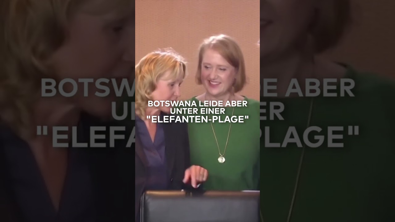 "ELEFANTEN-PLAGE" IN BOTSWANA: Land will Elefanten nach Deutschland abschieben | WELT #shorts