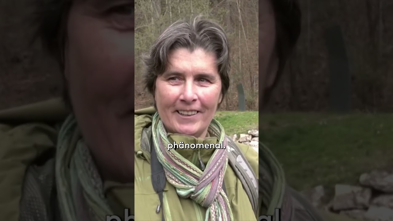 BESONDERES NATURSPEKTAKEL: Warum dieser See im Algäu lila leuchtet  WELT #shorts