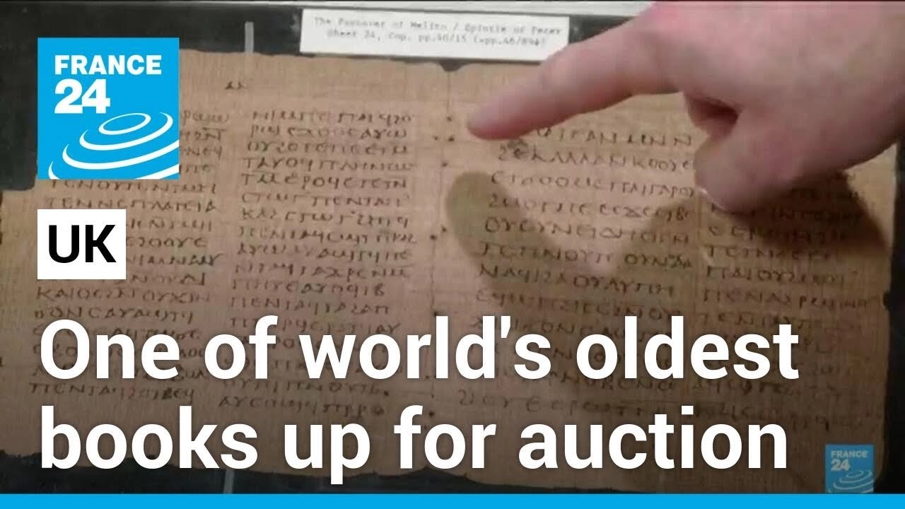 One of the oldest books in existence up for auction • FRANCE 24 English