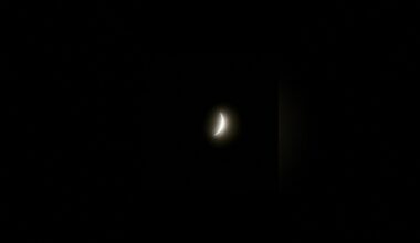 A total solar eclipse brought darkness to northern Mexico | DW News