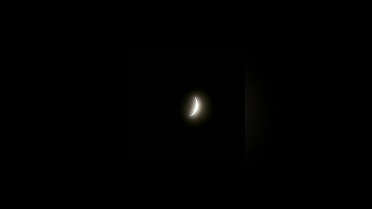 A total solar eclipse brought darkness to northern Mexico | DW News
