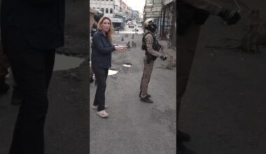 Monkey gangs at war with police as they take over city in Thailand