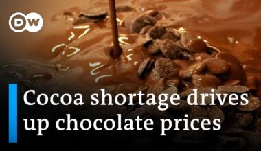 Chocolate prices soar this Easter | DW News