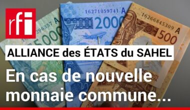 AES - Une dévaluation du F CFA est-elle à craindre ? • RFI