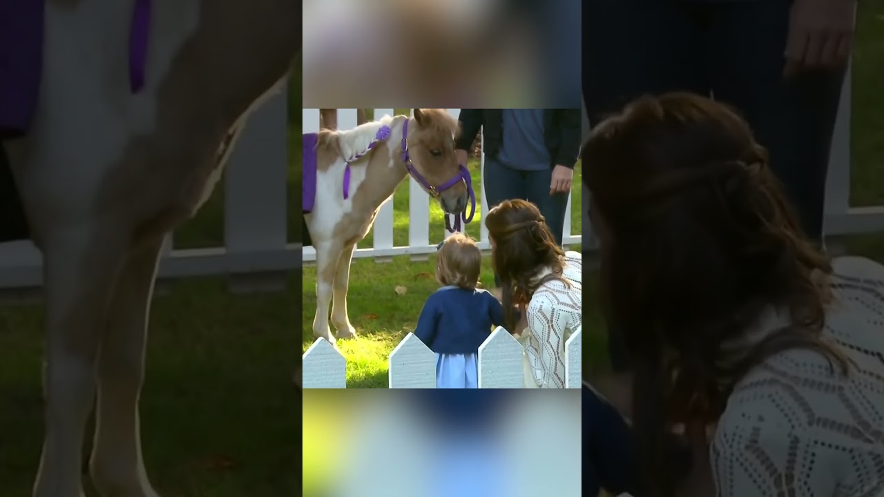Is The New Generation Of Royals More Affectionate?