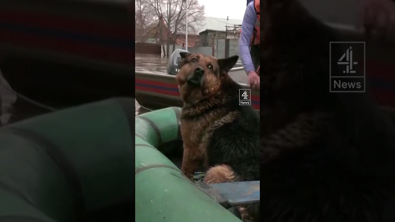 Evacuation in Russia after huge floods