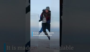 If you sometimes dream of being invisible, this one is for you! | DW News