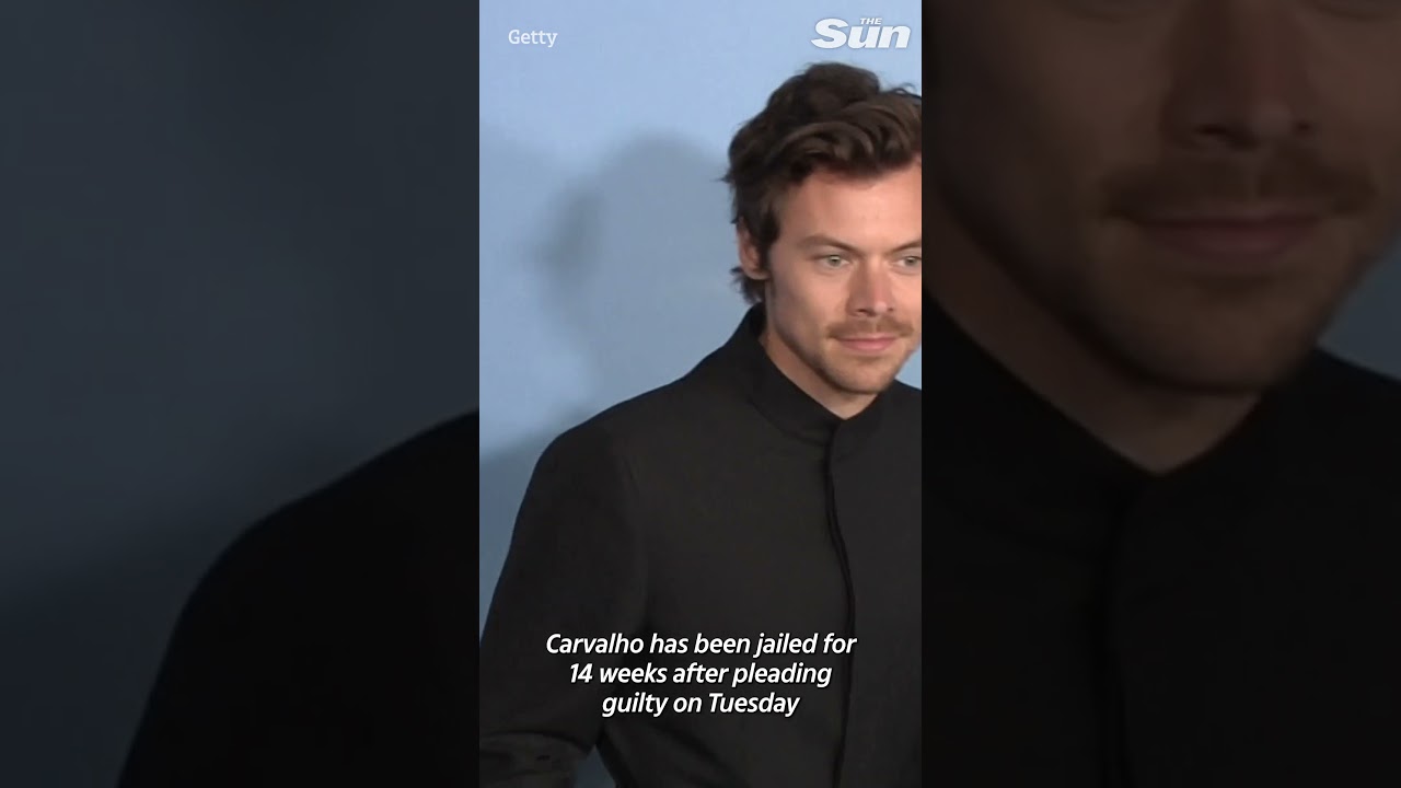 Harry Styles’ stalker is jailed and given 10 year restraining order after harassing him at his home