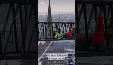 Die Konstruktion des Freiformglasdachs in der Hafencity  #ndr #doku #hafencity