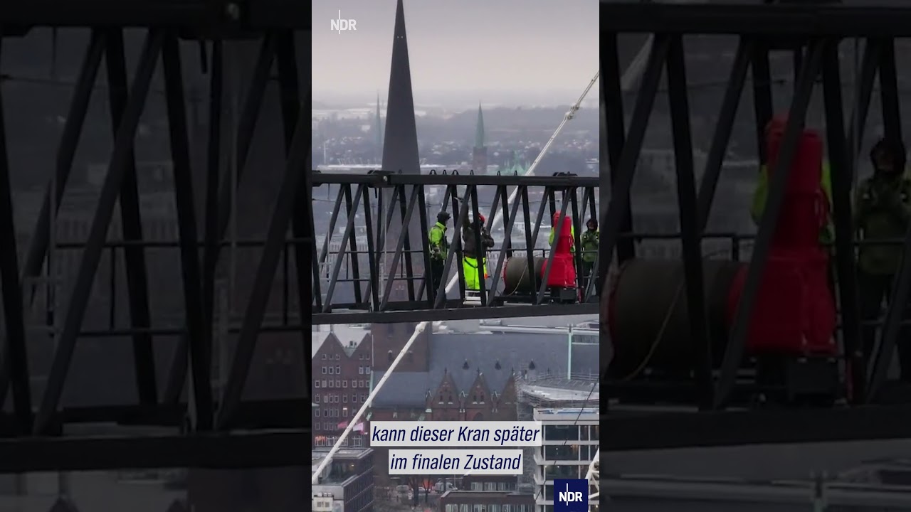 Die Konstruktion des Freiformglasdachs in der Hafencity  #ndr #doku #hafencity