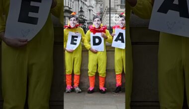 Demonstrators dress as chickens to pressure Rishi Sunak over election date