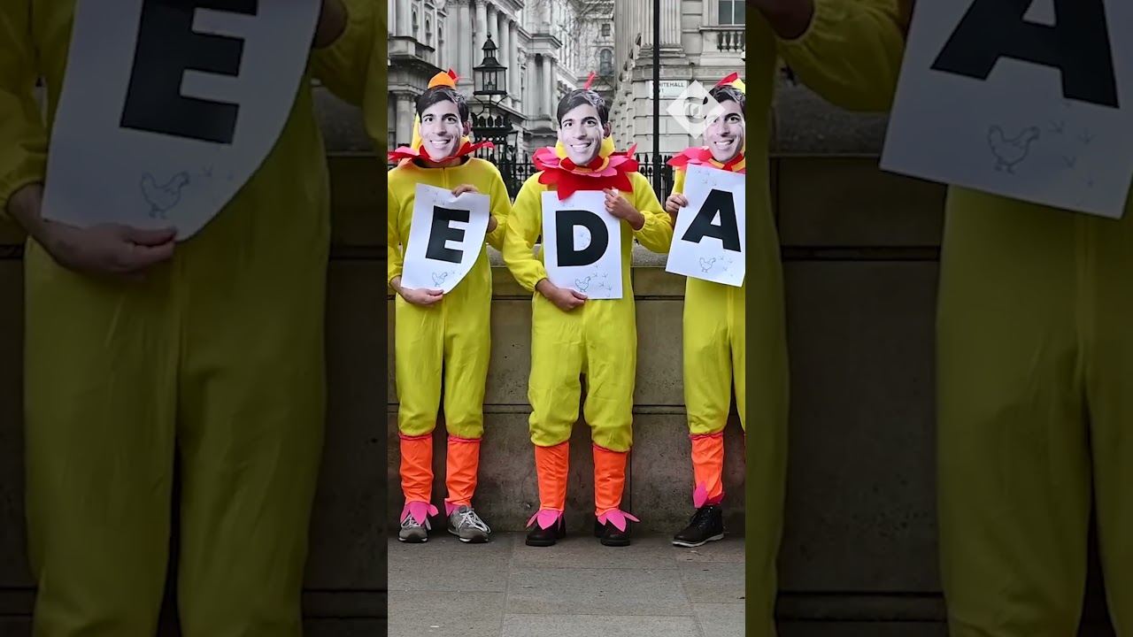 Demonstrators dress as chickens to pressure Rishi Sunak over election date