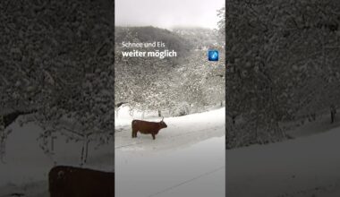Winter-Comeback in Deutschland #schnee #tagesschau #shorts