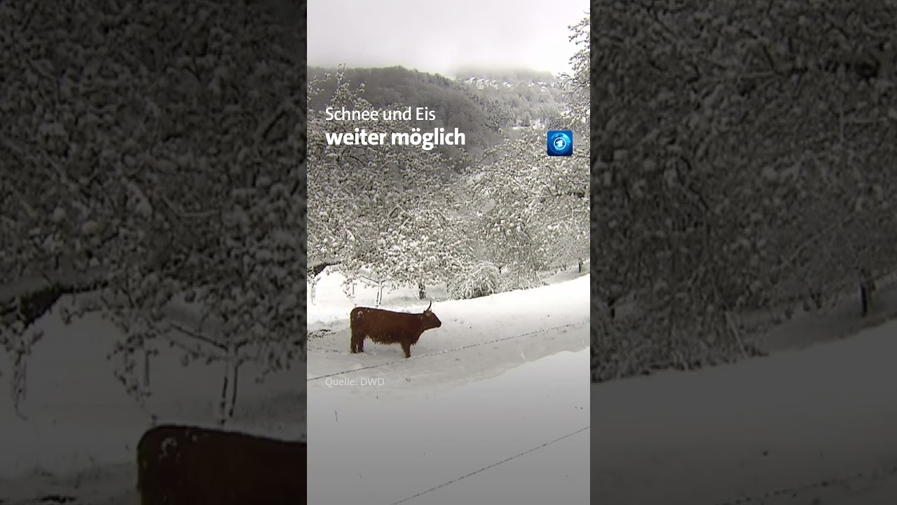 Winter-Comeback in Deutschland #schnee #tagesschau #shorts