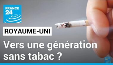 Les députés britanniques votent pour le projet d'un Royaume-Uni sans tabac • FRANCE 24