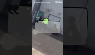 School stabbing has left three injured and one arrested