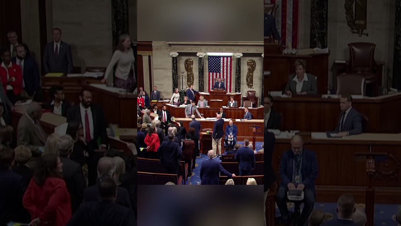 Moment US House passes Ukraine aid package | DW Shorts