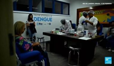 Brasil ha registrado más de cuatro millones de casos de dengue en 2024 • FRANCE 24 Español