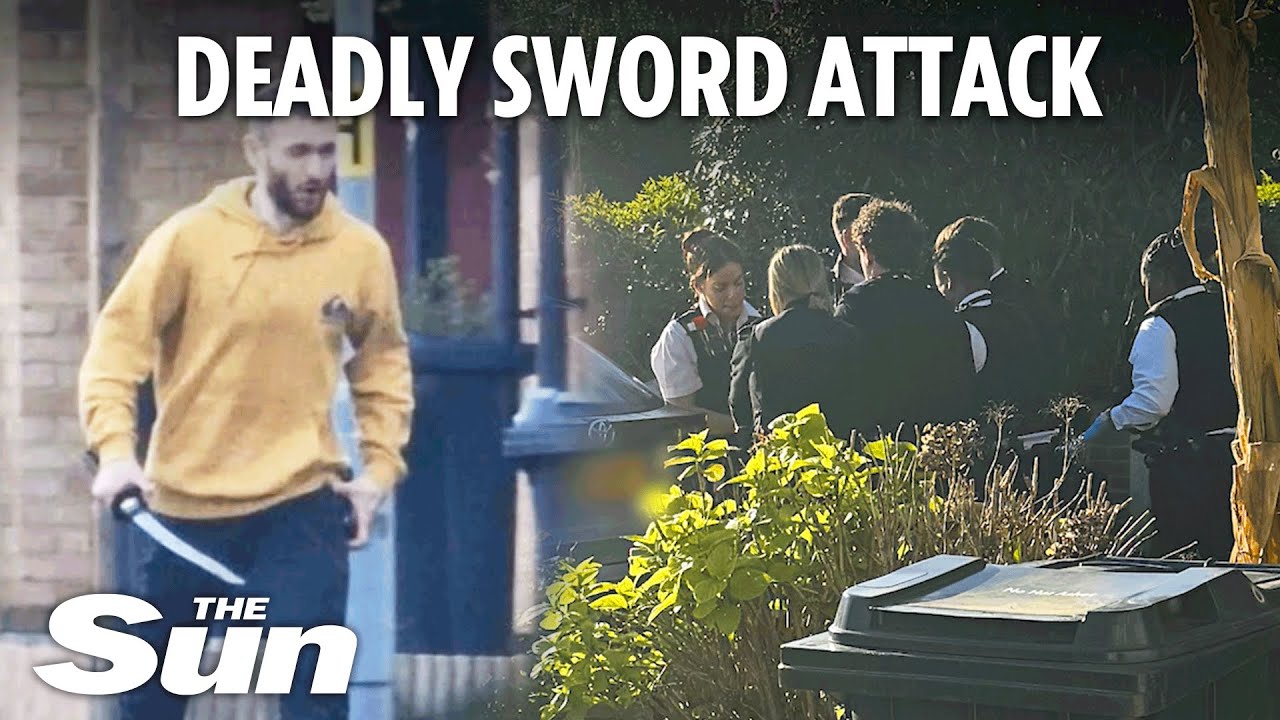 Hainault stabbing: Boy, 13, killed ‘by sword-wielding man who attacked five including two cops’