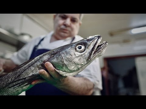 Comment les efforts européens ont permis de sauver le merlu de l'extinction