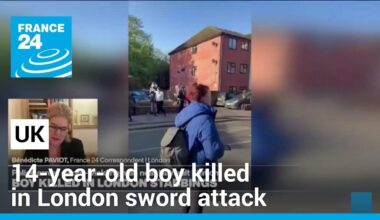 UK police say 14-year-old boy killed in London sword attack • FRANCE 24 English