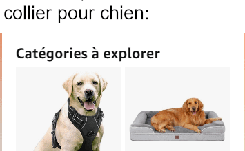 Oupsi