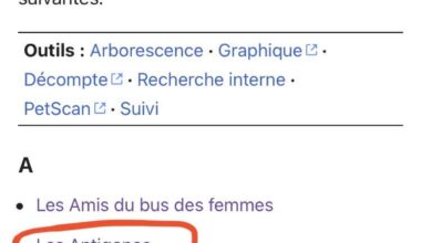 arreter silvousplait