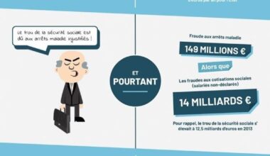 Fraude aux aides sociales - infographie