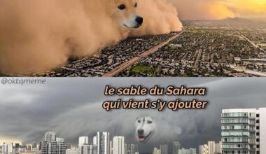 Saharate jamais ma voiture