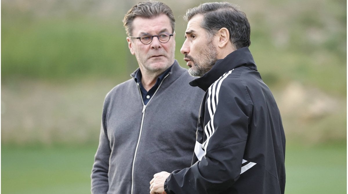 Hecking droht Aus in Nürnberg – Sportchef verteidigt emotionale Team-Ansprache