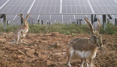 El 29% de españoles es negacionista climático y más del 50% duda del coche eléctrico, no cerraría las centrales nucleares y abriría más